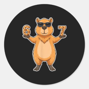 67 Capybara Sungles Gen Alpha Slang Funny Six Seve Classic Round Sticker