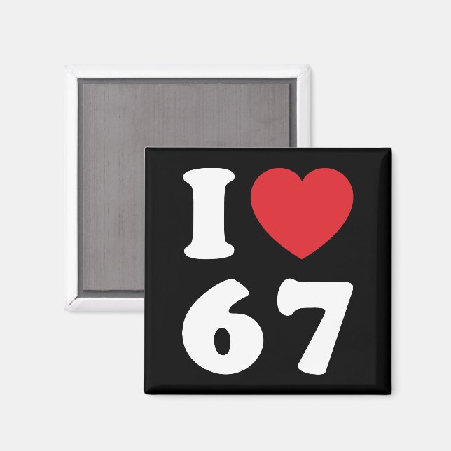 67 Funny Meme I Love Six Seven 67th Birthday Magnet (Front/Back)