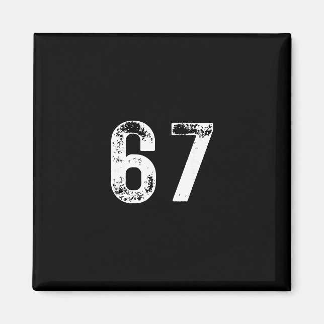 67 - Funny Meme  Magnet (Front)