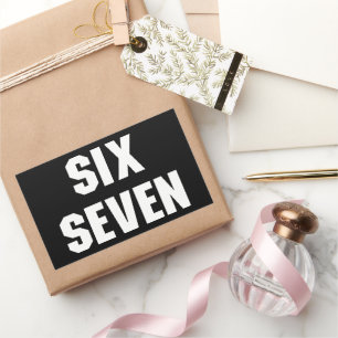 67 Funny Meme Six Seven Gen Alpha Rectangular Sticker