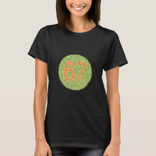67 Ishihara Test Funny Color Blind Eye Test 6 7 Vi T-Shirt