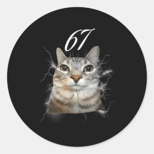 67 Meme Cat Howling At Moon Brainrot Funny 6 7 Classic Round Sticker