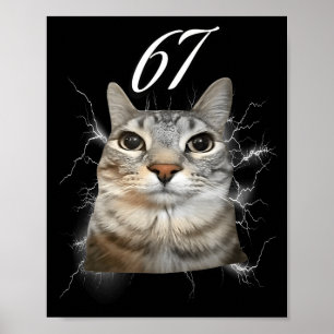 67 Meme Cat Howling At Moon Brainrot Funny 6 7  Poster