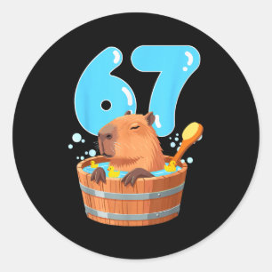 67 Six Seven 6-7 Capybara Funny Teen Kids Capybara Classic Round Sticker