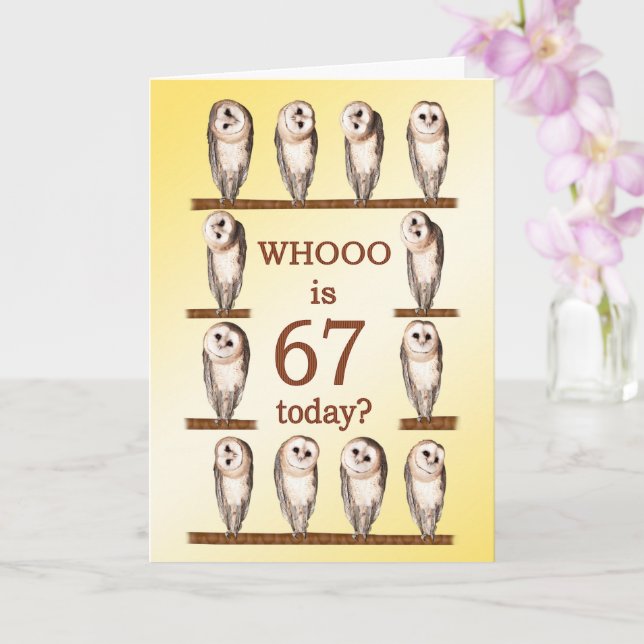 67th Birthday, Curious Owls Card (Orchid)