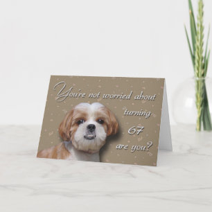 67th Birthday Dog Card
