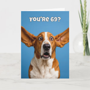69th Birthday Basset Hound Dog Humor Card