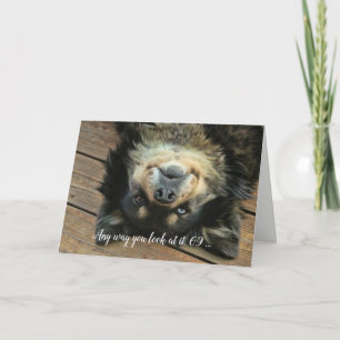 69th Birthday Super Cute Aussie Dog Funny Holiday Card