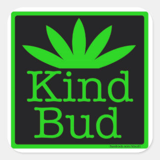 6 - 3"square Kind Bud Stickers