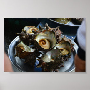 6×4 Haenyeo Sora Conch Harvest Photo Print