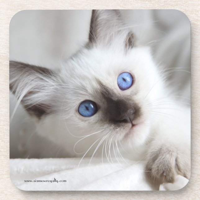 6 Balinese Hard Plastic coasters with cork back (Front)