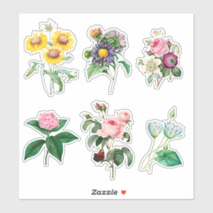6 Beautiful Flowers for Scrapbooking Sticker