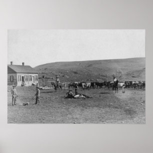 6 Cowboys Branding Cattle Near House Photograph Poster