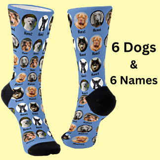 6 Dogs, 6 Names, Dog Photo - Personalised Blue Socks