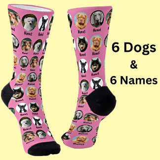 6 Dogs, 6 Names, Dog Photo - Personalised Pink Socks