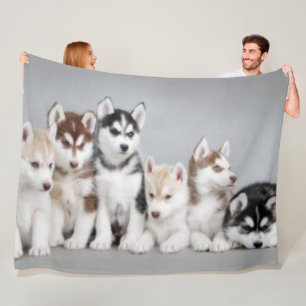 6 HUSKY PUPPIES FLEECE BLANKET