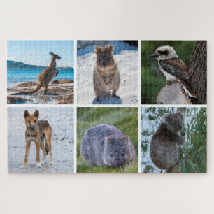 6-in-1 Animals of Australia, 1014 pieces Jigsaw Puzzle