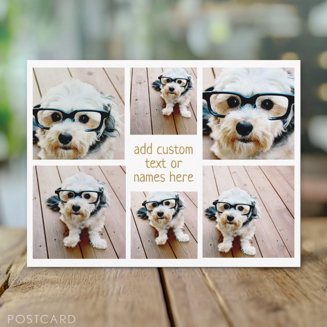 6 Photo Collage Minimalist - Gold and White Grid Postcard (Custom Personalized Photo Collage Postcard)