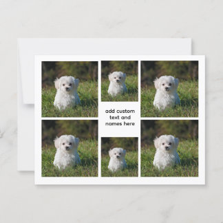 6 Photo Collage – White Grid Aesthetic, Minimal Postcard