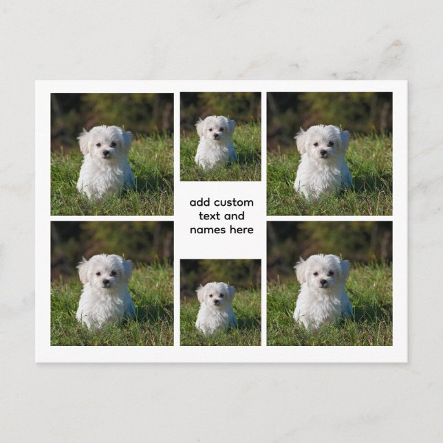 6 Photo Collage – White Grid Aesthetic, Minimal Postcard (Front)