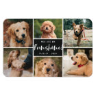 6 Photo Collage You Are My Funshine | Black Pet