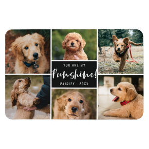 6 Photo Collage You Are My Funshine   Black Pet Magnet