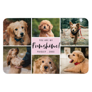 6 Photo Collage You Are My Funshine   Pink Pet Magnet