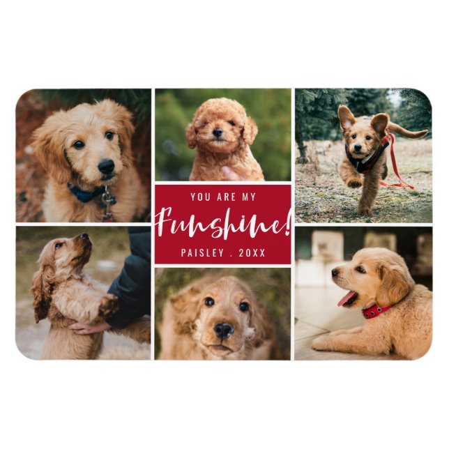 6 Photo Collage You Are My Funshine | Red Pet Magnet (Horizontal)