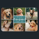 6 Photo Collage You Are My Funshine | Teal Pet Magnet<br><div class="desc">This modern styled photo magnet features stylish typography,  reading,  "You are my Funshine"!  Six photo templates are included to showcase your favourite photos! A text template is also included for name and year.  Colour can be customised to any colour you'd like!</div>