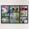 6 Photo Jumbo Customised Image Family Collage