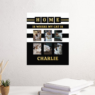 6 photos name animal lover cats black white foil prints