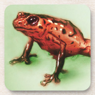 6 Red Frog Coasters Set, Wild Animal Sketch