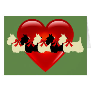 6 Scottish Terrier black/wheaten, bow, heart/blank
