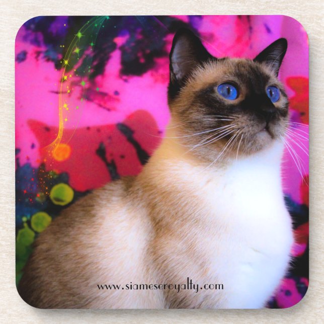 6 Siamese Hard Plastic coasters with cork back (Front)