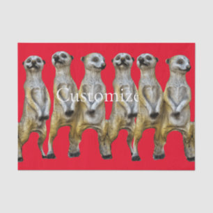 6 Standing Meerkats Thunder_Cove  Tissue Paper