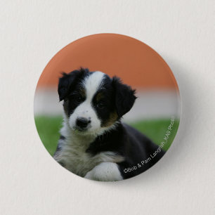6 Week Old Border Collie 6 Cm Round Badge