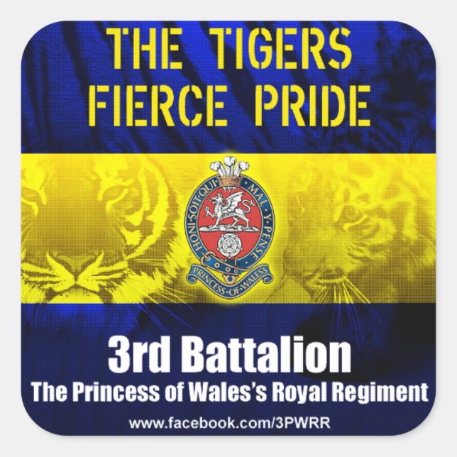 6 x 3PWRR Square Stickers (Front)