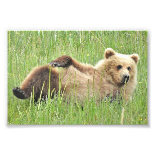 6" x 4", Kodak Professional Photo Paper (Satin) Print