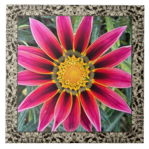 6"x 6" Ceramic Tile with Magenta Gazania