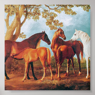 6a   Mares and Foals Poster