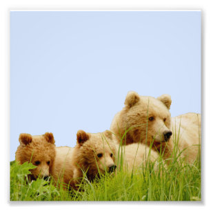 6x6  Kodak Professional Photo Paper (Satin)