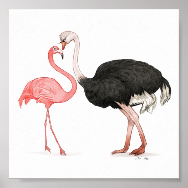 6x6 Love Birds Print (Front)