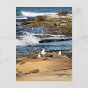 #7001 Beach Postcard