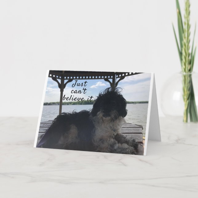 **70** HOW DOES IT FEEL BIRTHDAY HUMOR CARD (Front)