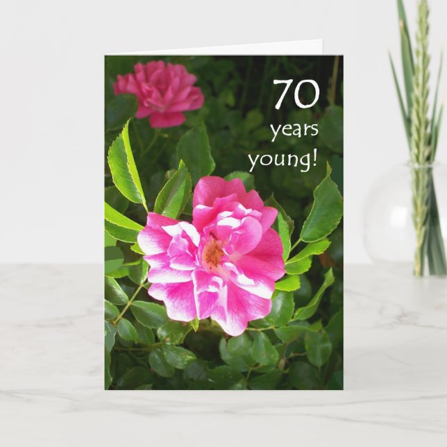 70th Birthday Card - Pink Roses (Front)