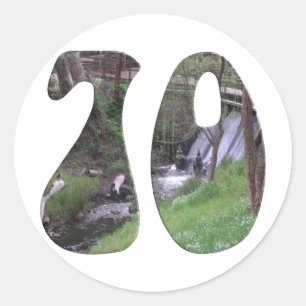70th Birthday Classic Round Sticker