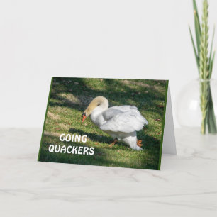 *70th* BIRTHDAY-GOING QUACKERS-CAN'T BE TRUE Card
