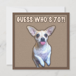 70th Birthday Humour (Dog) Card