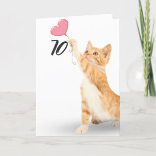 70th birthday tabby cat card