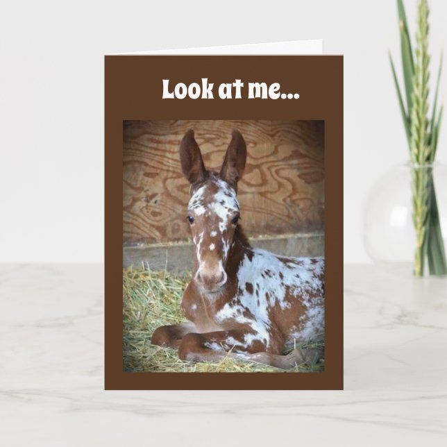 **70th BIRTHDAY** WISH FROM A COMEDIC HORSE Card (Front)